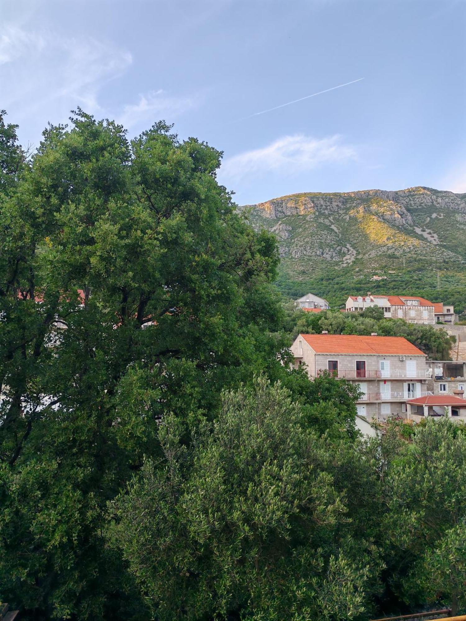 Apartment Oscar Mokošica Szoba fotó